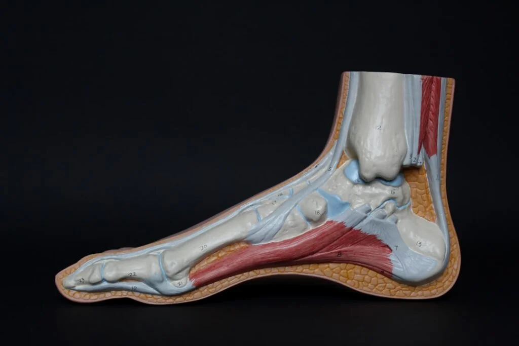 Heel Spur vs Plantar Fasciitis in Bridgewater, NJ